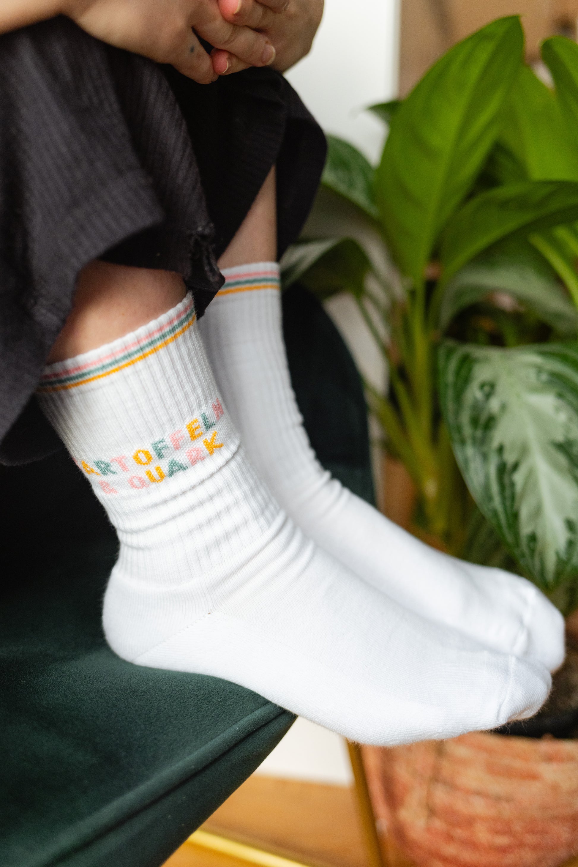 Weiße Tennissocken mit buntem Schriftzug ‚Kartoffeln & Quark‘, getragen von einer Person, vor grüner Samt-Couch